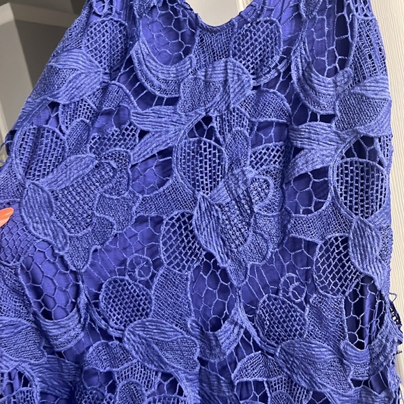 Express lace dress - Picture 4 of 4